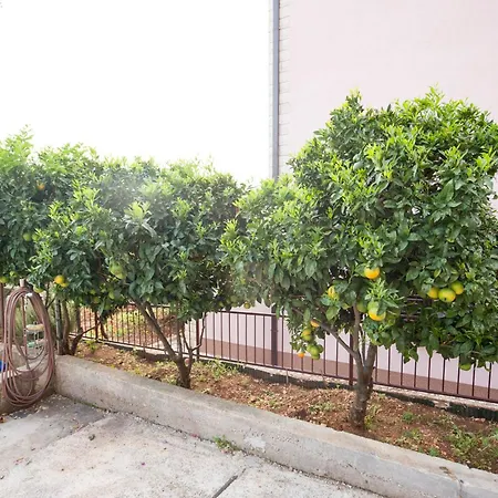 Apartment Mato With Balconies, Garden & The Sea View Seget Vranjica